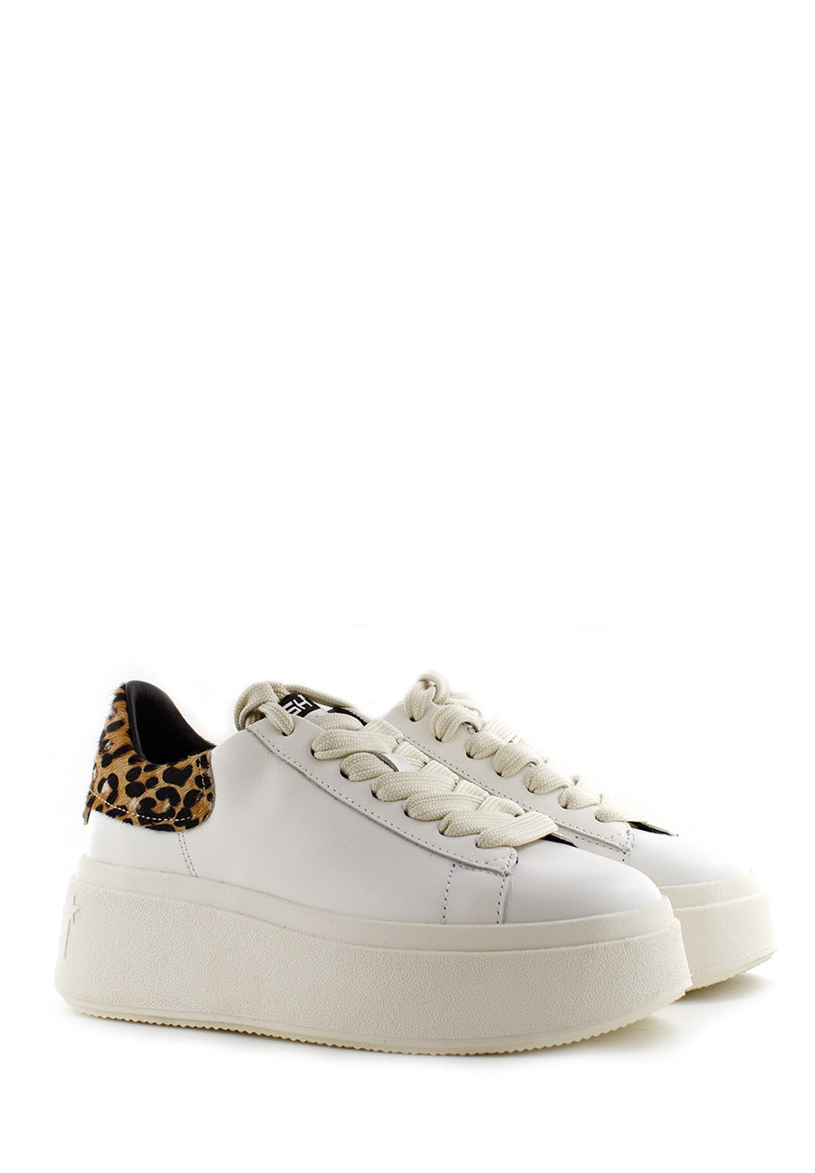 Sneaker Moby bianca con retro leopardato Ash