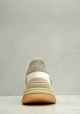 Sneaker Addict bianca, beige e oro Ash